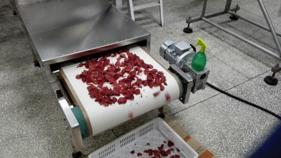 辽宁某食品厂定制我公司微波薯片灭菌设备